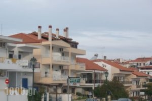 Kiwi_accommodation_in_Hotel_Macedonia_Halkidiki_Nea Fokea