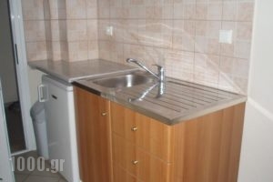 Kiwi_best deals_Hotel_Macedonia_Halkidiki_Nea Fokea