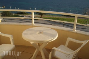Kiwi_lowest prices_in_Hotel_Macedonia_Halkidiki_Nea Fokea