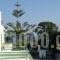 Alexandra Beach_best prices_in_Apartment_Dodekanessos Islands_Kos_Kos Chora