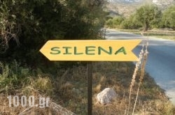 Silena in Kambos, Samos, Aegean Islands