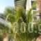 Silena_holidays_in_Apartment_Aegean Islands_Samos_Kambos