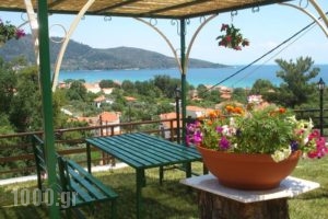 Panagiota Apartments_best deals_Apartment_Aegean Islands_Thassos_Thassos Chora