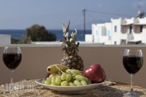 Iades Studios & Apartments_lowest prices_in_Apartment_Cyclades Islands_Paros_Paros Chora