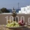 Iades Studios & Apartments_lowest prices_in_Apartment_Cyclades Islands_Paros_Paros Chora