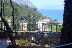 Giannatos Studios_lowest prices_in_Hotel_Ionian Islands_Kefalonia_Vlachata