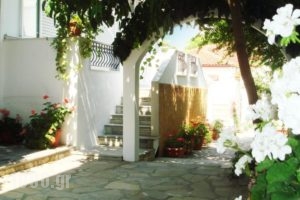 Loginos Studios_accommodation_in_Hotel_Macedonia_Halkidiki_Kassandreia