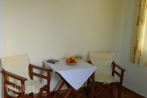 Ioanna Apartments_best deals_Apartment_Cyclades Islands_Naxos_Naxos chora