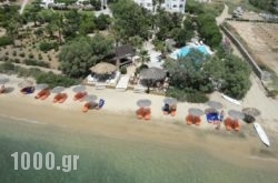 Medusa Resort Suites in Paros Rest Areas, Paros, Cyclades Islands