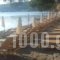 Xenia Poros Image Hotel_travel_packages_in_Piraeus Islands - Trizonia_Trizonia_Trizonia Chora