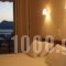 Niovi Studios_accommodation_in_Hotel_Central Greece_Evia_Edipsos