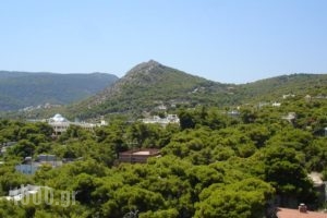 Hotel Afea_best deals_Hotel_Piraeus Islands - Trizonia_Aigina_Agia Marina