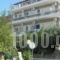 Hotel Venetia_travel_packages_in_Aegean Islands_Samos_Ireon