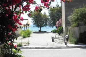 Hotel Venetia_lowest prices_in_Hotel_Aegean Islands_Samos_Ireon