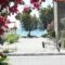 Hotel Venetia_lowest prices_in_Hotel_Aegean Islands_Samos_Ireon