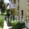 Studio Popi_best deals_Hotel_Aegean Islands_Samos_Marathokambos