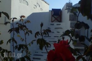 Pension Ilias_accommodation_in_Hotel_Cyclades Islands_Amorgos_Amorgos Chora