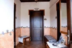 Guesthouse Patavalis_best deals_Hotel_Thessaly_Trikala_Kalambaki