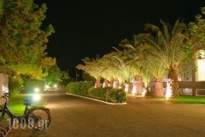 Asteras Resort_best prices_in_Hotel_Dodekanessos Islands_Kos_Kos Rest Areas