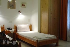 Zozas Rooms_lowest prices_in_Room_Thessaly_Trikala_Kalambaki