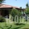 Helen Village Apartments_best deals_Apartment_Macedonia_Pella_Agios Athanasios