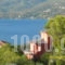 Dedelos Studios_best prices_in_Apartment_Piraeus Islands - Trizonia_Poros_Poros Chora