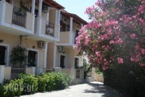 Antonio Studios_accommodation_in_Hotel_Ionian Islands_Zakinthos_Zakinthos Rest Areas