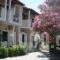 Antonio Studios_accommodation_in_Hotel_Ionian Islands_Zakinthos_Zakinthos Rest Areas