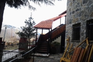 Koziakas_best prices_in_Hotel_Macedonia_Pella_Edessa City