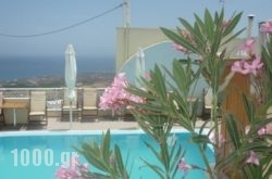 Sky Of Thira in Sandorini Rest Areas, Sandorini, Cyclades Islands