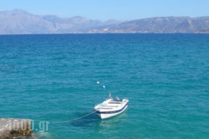 Regina Youth_best prices_in_Room_Crete_Lasithi_Aghios Nikolaos