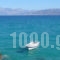 Regina Youth_best prices_in_Room_Crete_Lasithi_Aghios Nikolaos