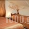 Philippion_best deals_Hotel_Macedonia_Florina_Florina City