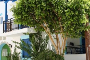 Katerina Roza Studios_accommodation_in_Hotel_Cyclades Islands_Naxos_Naxos chora