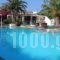 Prince Of Lillies_best deals_Hotel_Crete_Heraklion_Heraklion City