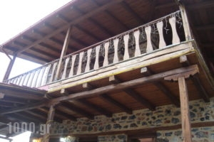 Elati Pella_accommodation_in_Hotel_Macedonia_Pella_Agios Athanasios