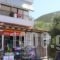 Kostas Studios_holidays_in_Room_Ionian Islands_Lefkada_Vasiliki