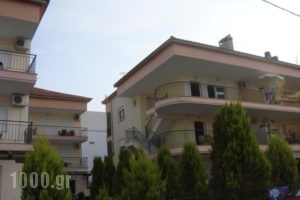 Vicky Apartments_best prices_in_Apartment_Macedonia_Halkidiki_Haniotis - Chaniotis