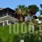 Villa Frideriki_travel_packages_in_Sporades Islands_Skiathos_Skiathosst Areas