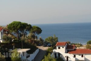 Villa Frideriki_accommodation_in_Villa_Sporades Islands_Skiathos_Skiathosst Areas