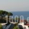 Villa Frideriki_accommodation_in_Villa_Sporades Islands_Skiathos_Skiathosst Areas