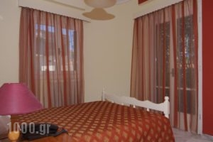 Bella Vista Studios and Apartments_best deals_Apartment_Ionian Islands_Kefalonia_Kefalonia'st Areas