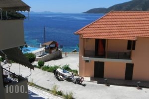 Dimitris Apartments_lowest prices_in_Apartment_Ionian Islands_Lefkada_Lefkada Rest Areas