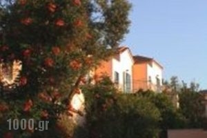 Lassia Studios_best deals_Hotel_Aegean Islands_Lesvos_Petra