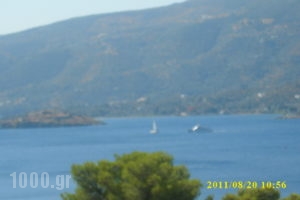 Dedelos Studios_lowest prices_in_Apartment_Piraeus Islands - Trizonia_Poros_Poros Chora