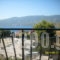 Dedelos Studios_holidays_in_Apartment_Piraeus Islands - Trizonia_Poros_Poros Chora