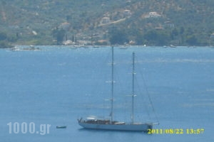 Dedelos Studios_best deals_Apartment_Piraeus Islands - Trizonia_Poros_Poros Chora