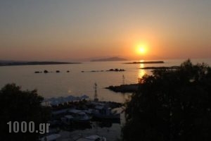Stelisia Rooms_best prices_in_Room_Crete_Chania_Chania City
