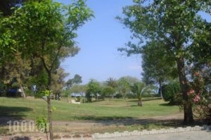 Plaza_lowest prices_in_Hotel_Macedonia_Halkidiki_Haniotis - Chaniotis