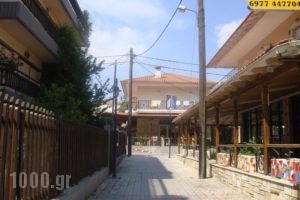 Plaza_holidays_in_Hotel_Macedonia_Halkidiki_Haniotis - Chaniotis